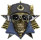 Tick Icon